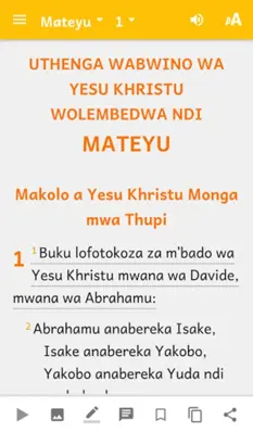 Mawu a Mulungu (Chichewa) android App screenshot 0